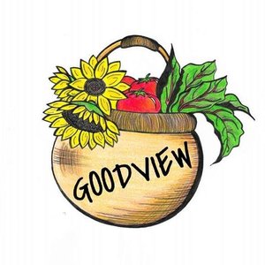 Goodview+Basket